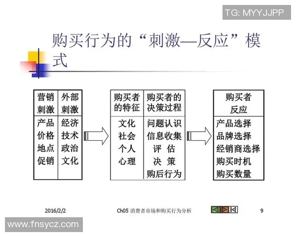 评论分析:揭示影响消费者购买决策的五大关键因素 评论分析:揭示影响消费者购买决策的五大关键因素