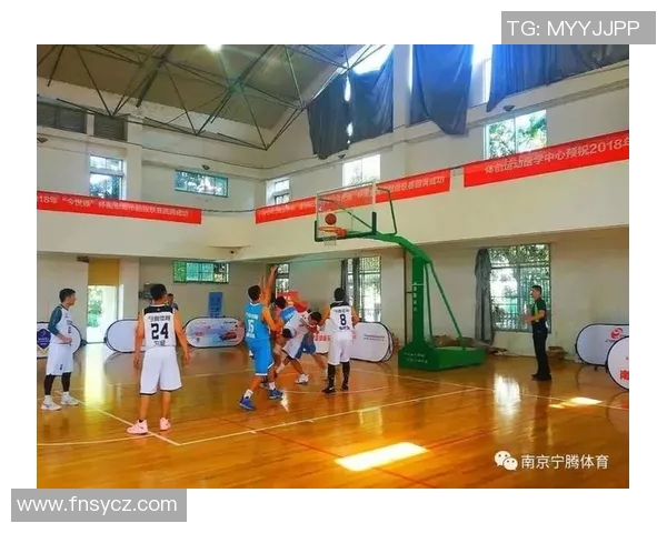 南京篮球队运营策略深度分析与市场发展前景探讨