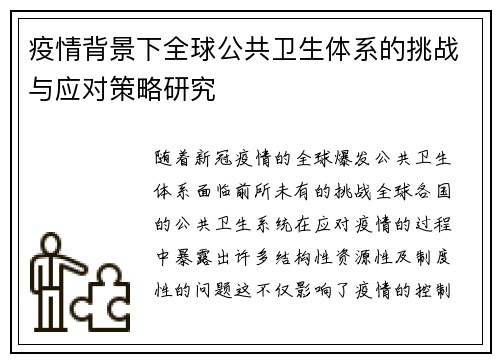 疫情背景下全球公共卫生体系的挑战与应对策略研究