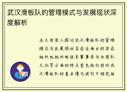 武汉滑板队的管理模式与发展现状深度解析